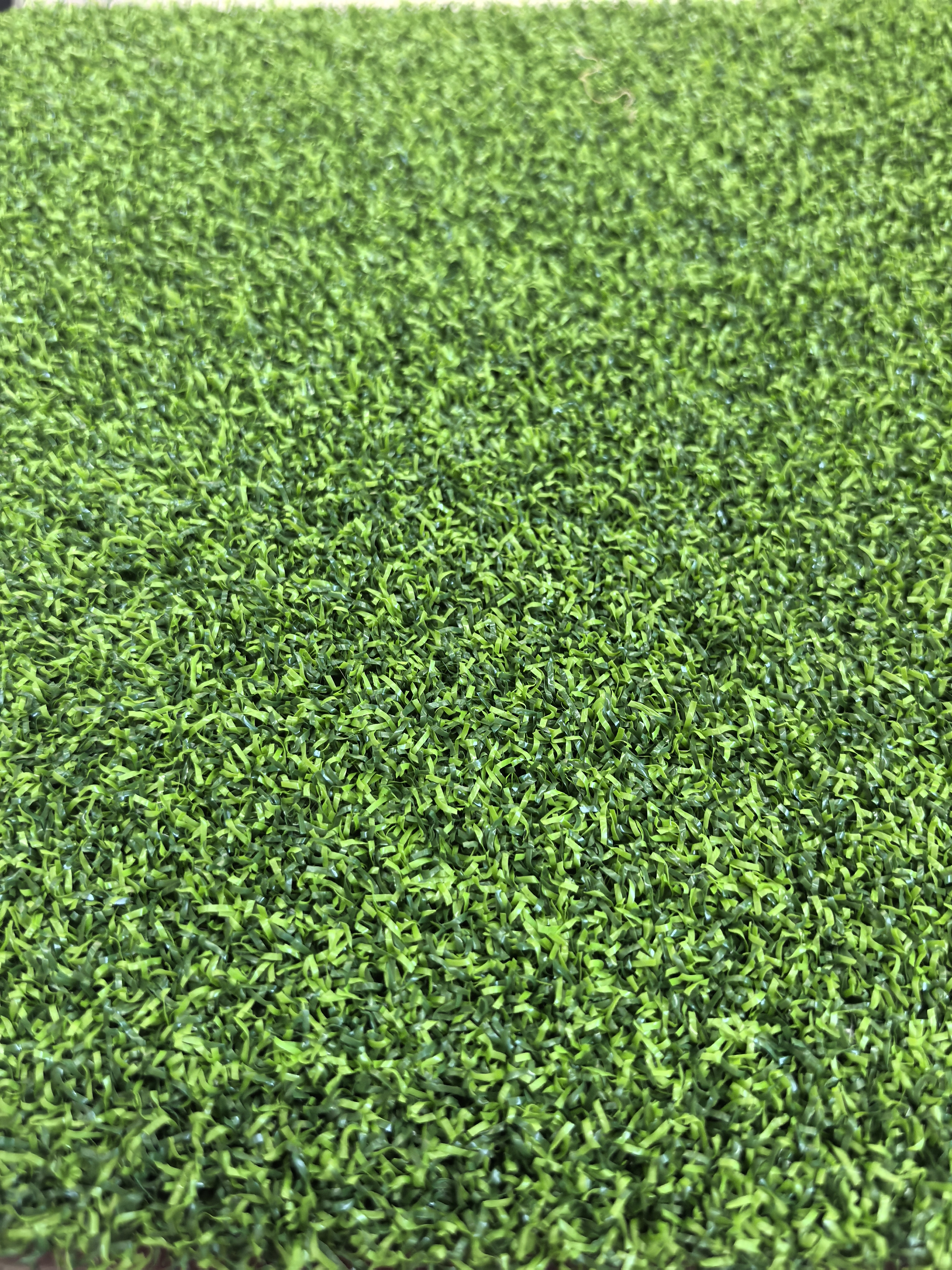 Pro-Gymturfia indoor turf runway in gym